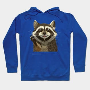 Smiley Face Raccoon Hoodie